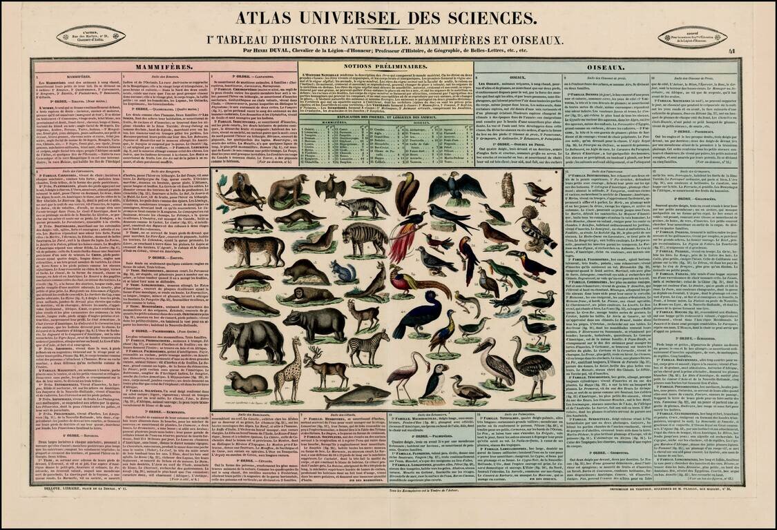 1er Tableau D'Histoire Naturelle Mamiferes Et Oiseaux Par Henri Duval…