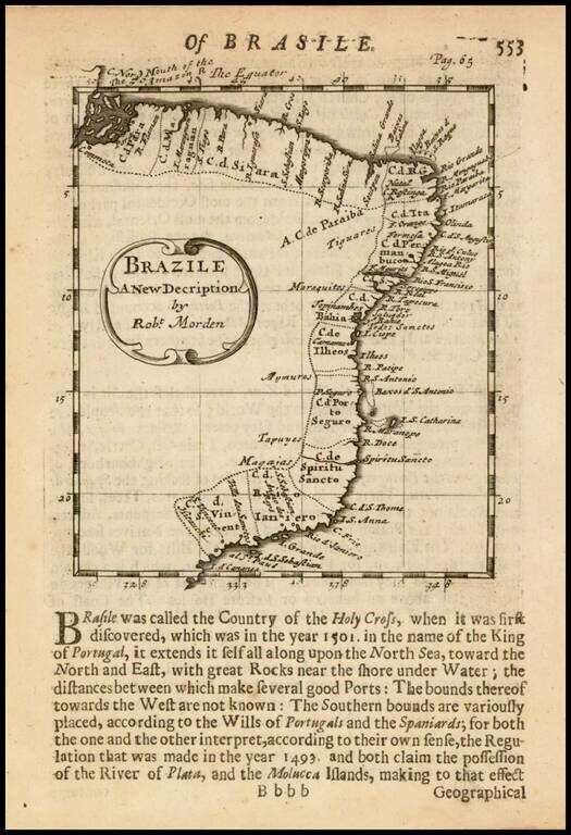 Brazile.  A New Description