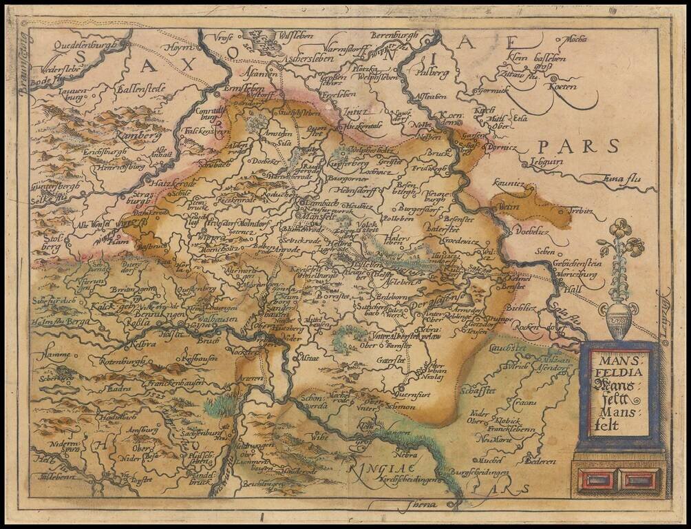 Mansfeldia   Mansfeltt  Mansfelt