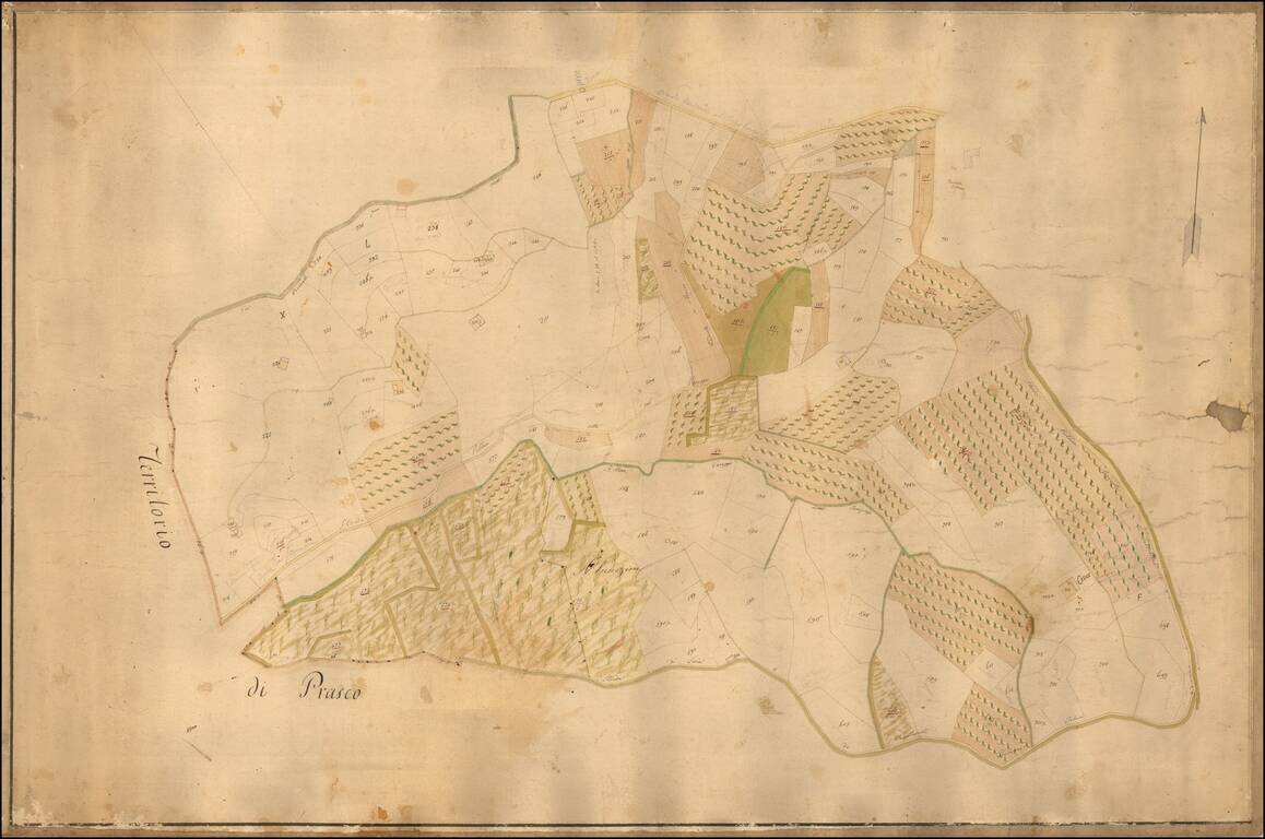 [Manuscript cadastral map of the area of Prasco in the Province of Alessandria, in Piedmont, Italy]