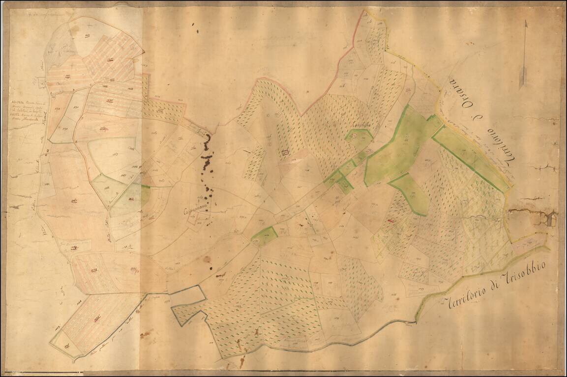 [Manuscript cadastral map of an area in the Province of Alessandria, in Piedmont, Italy]
