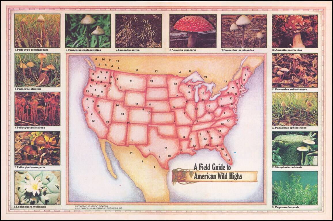 [Counterculture - Drug Culture] A Field Guide to American Wild Highs