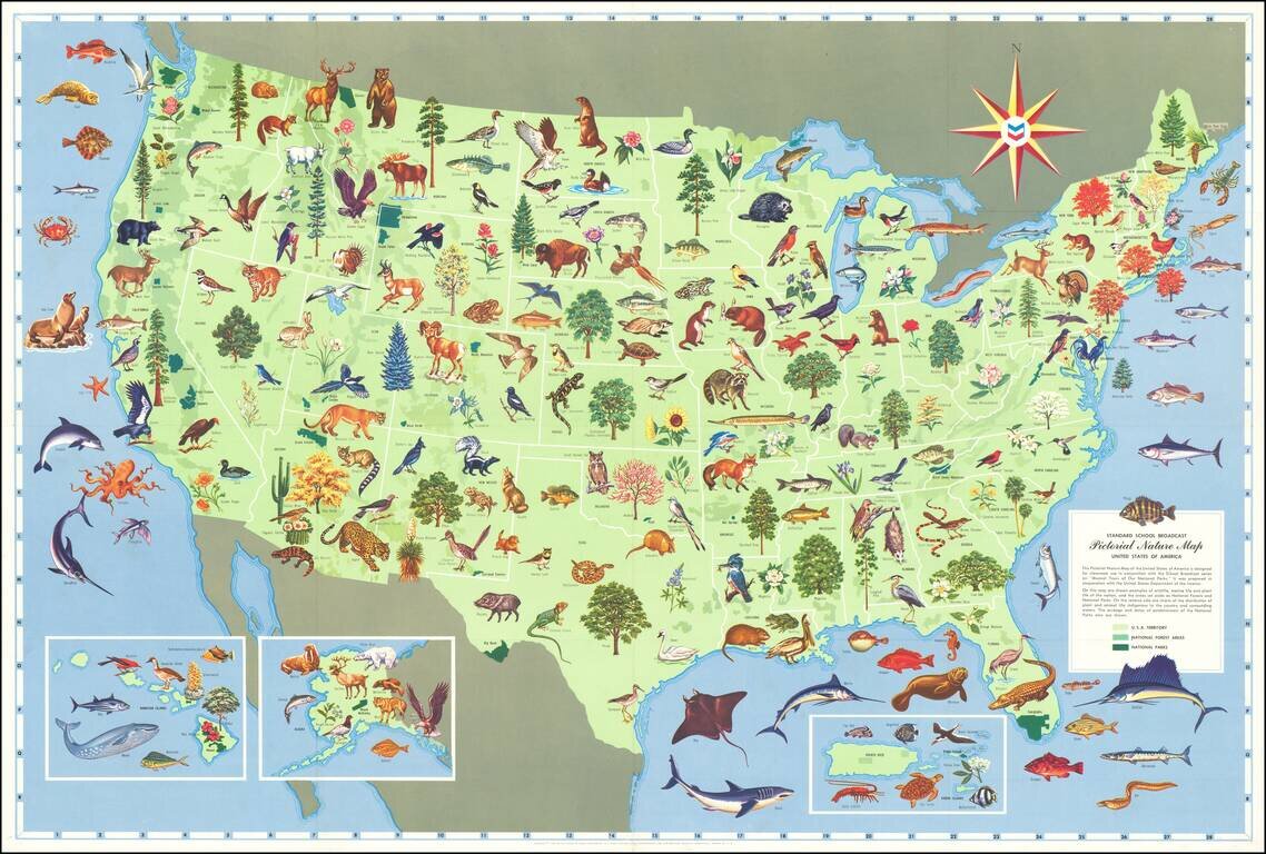 Standard School Broadcast Pictorial Nature Map United States of America