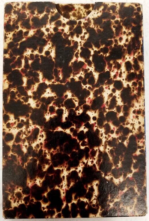 Eisen:Bahn:Karte von Deutschland und den angrenzenden Landern;  zugleich als Ubersicht aller wichtigsten Land= und Wasserverbindungen, bearbeitet von Dr. Frhr. F.W. von REden und E. von Sydow