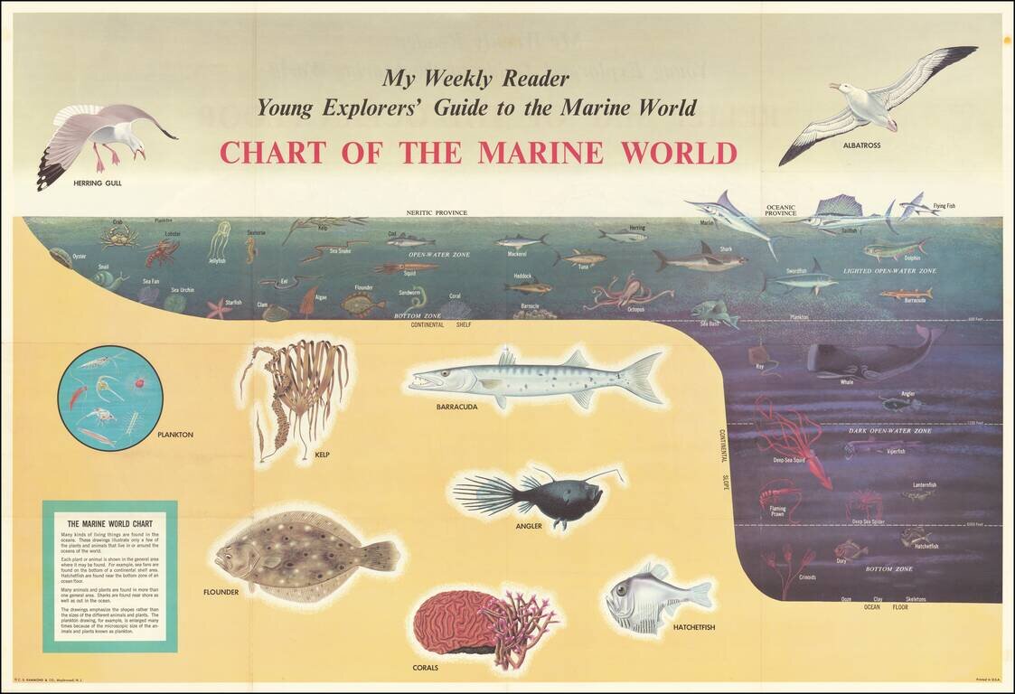 Relief Map of the Ocean Floor  /  Chart of the Marine World