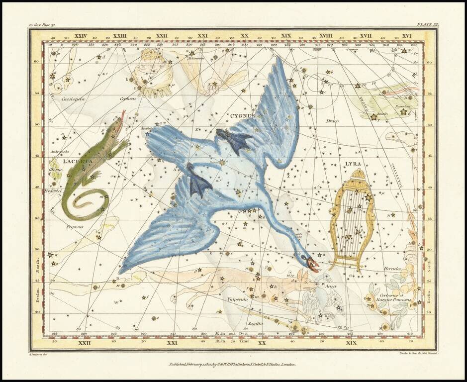 Cygnus, Lacerta, and Lyra