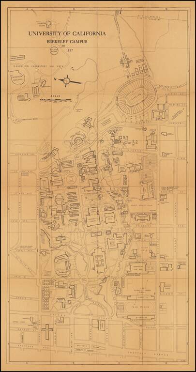 University of California Berkeley Campus