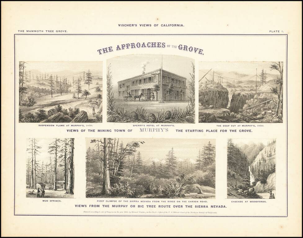 Vischer's Views of California. The Mammoth Tree Grove Calaveras County, California. And Its Avenues. Consisting of Title Page & 12 Plates with 25 Engravings.