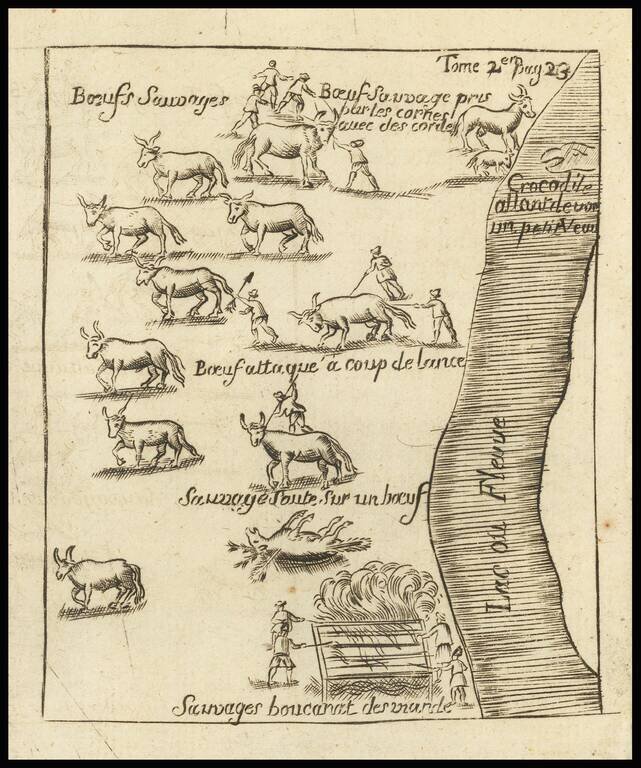 Crocodiles and Buffalo Hunting on Lahontan's Longue River