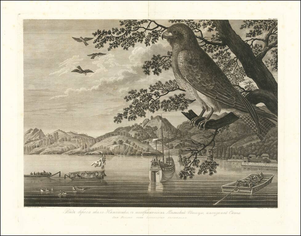 (View of the coast near Nangasaki, with the image of a Japanese Bird called Osprey.) Видъ берега около Нангасаки, съ изображениеть Японской Птицы, именуемой Скопа. | Der Bisago oder Iapanische Fischfalke.